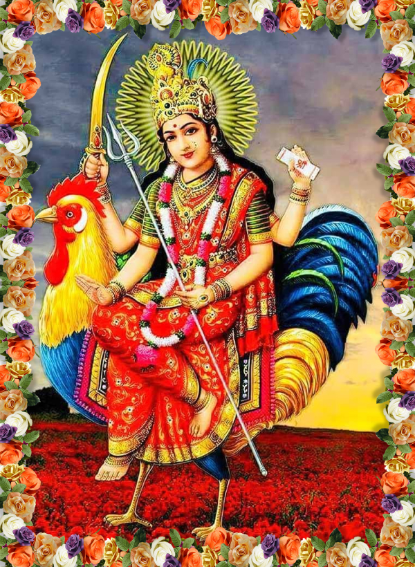 Goddess Bahucharji
